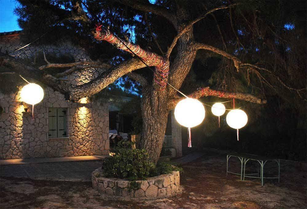 123索雷尔一室公寓 Agia Marina  外观 照片